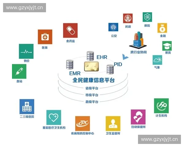 基于体能等级评估的全民健康管理与运动能力发展研究新路径探索框架