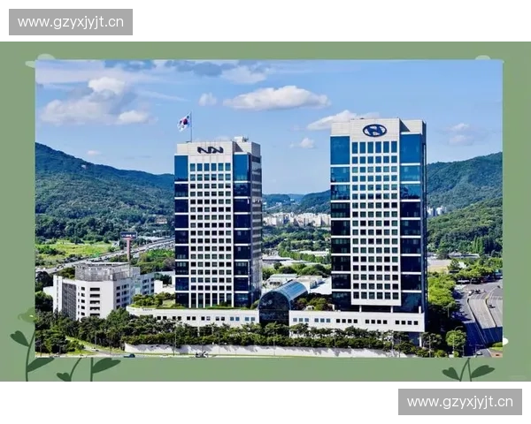 以真实实力为核心全面展现品牌价值与未来潜力打造核心竞争力引领行业新高度