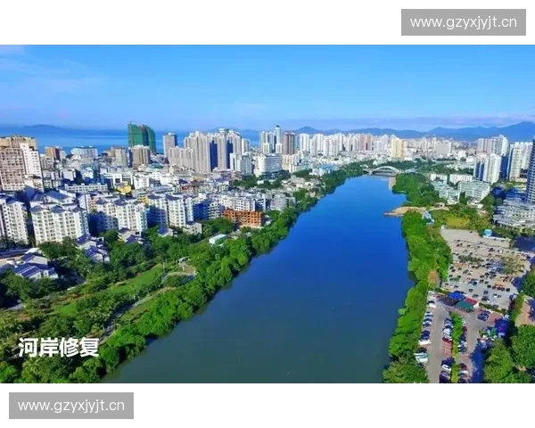 攻守平衡：探索战略布局与资源优化的协同作用和实施路径